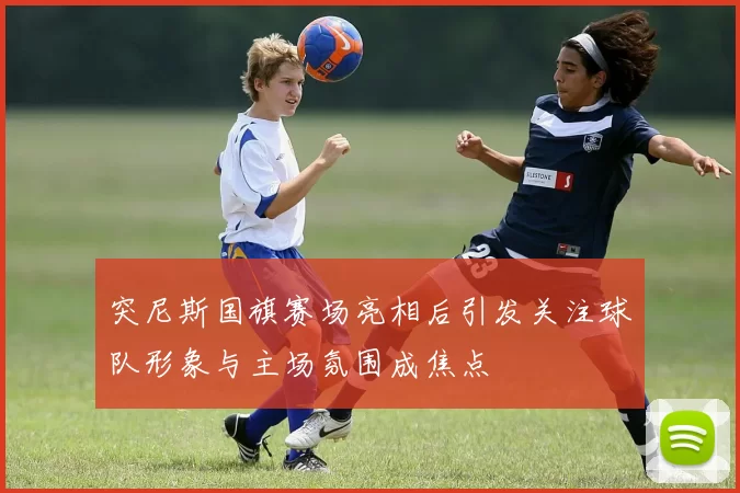 突尼斯国旗赛场亮相后引发关注球队形象与主场氛围成焦点