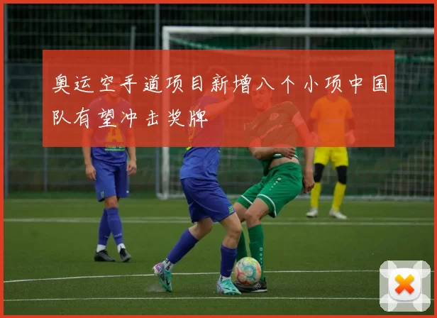 奥运空手道项目新增八个小项中国队有望冲击奖牌