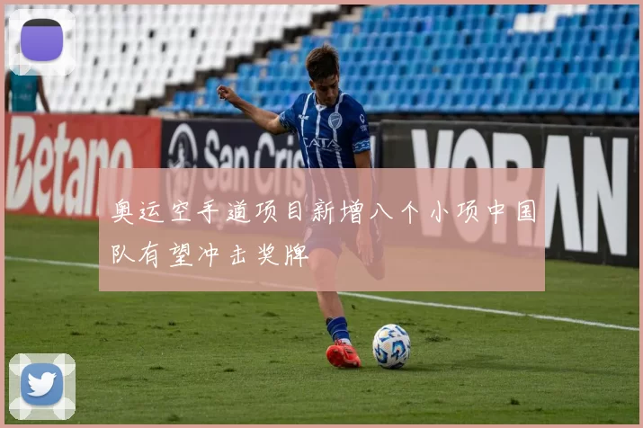 奥运空手道项目新增八个小项中国队有望冲击奖牌