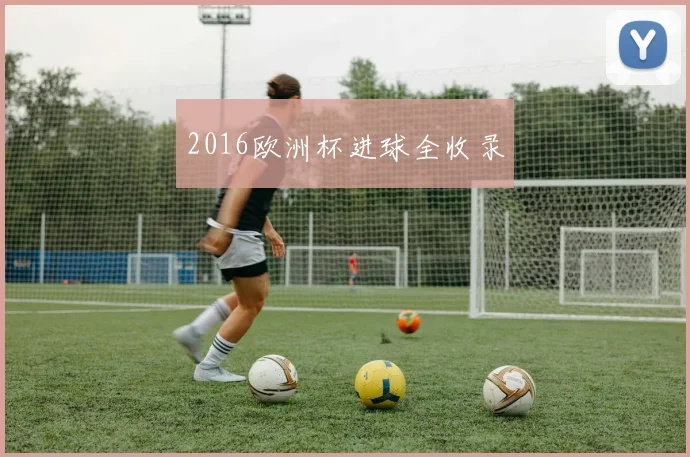 2016欧洲杯进球全收录