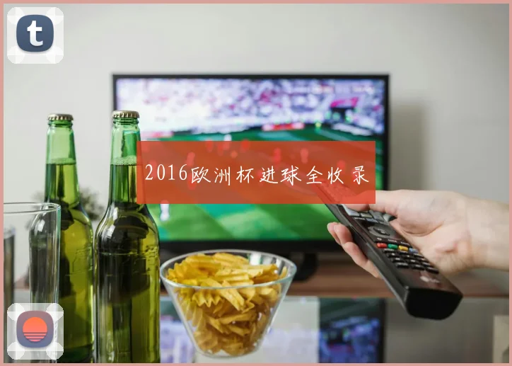 2016欧洲杯进球全收录