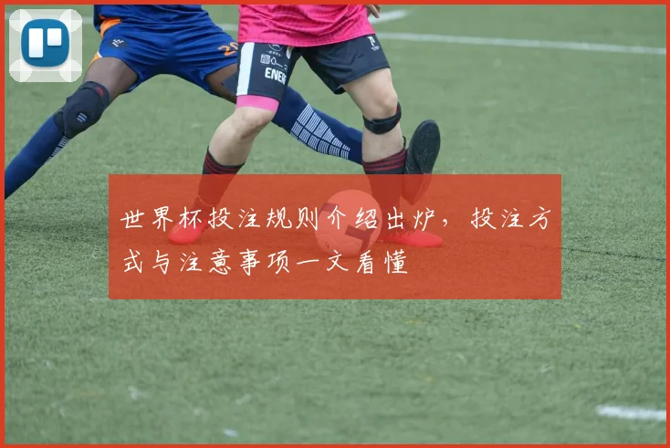 世界杯投注规则介绍出炉，投注方式与注意事项一文看懂