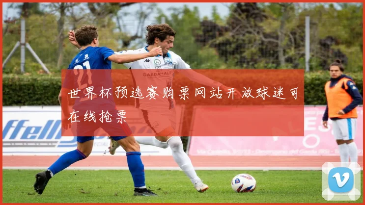 世界杯预选赛购票网站开放球迷可在线抢票