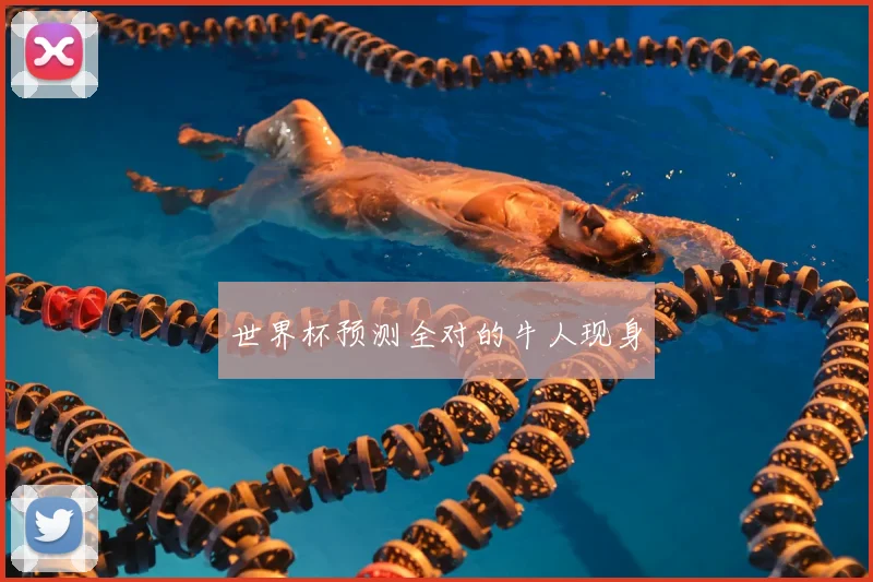 世界杯预测全对的牛人现身