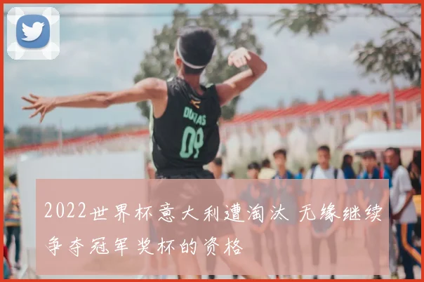 2022世界杯意大利遭淘汰 无缘继续争夺冠军奖杯的资格