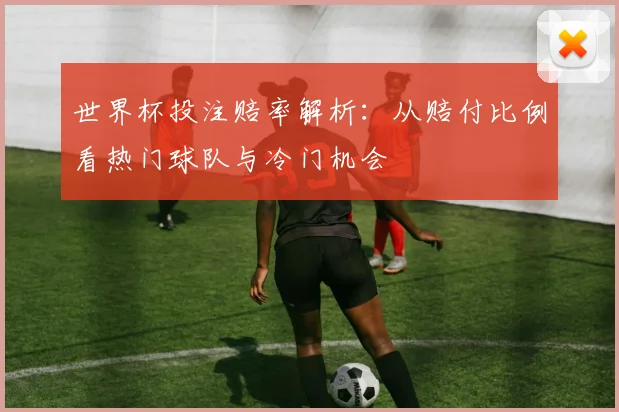 世界杯投注赔率解析：从赔付比例看热门球队与冷门机会